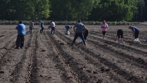 Así avanza la granja autosustentable de los trabajadores de la Cooperativa JJ Gómez, en Roca