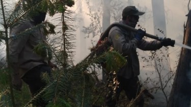 Un incendio afectó una zona de Lago Gutiérrez en Bariloche