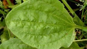 Senillosa: la escuela N°268 logró conectividad… con su  entorno natural fabuloso