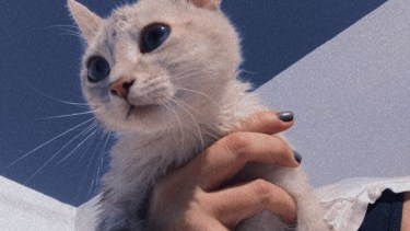 Hoy saludamos a Bagheera y a Luna, parte de la familia de Katia.  ¡Acordate! Podes presentarnos a tu mascota en redes sociales.-