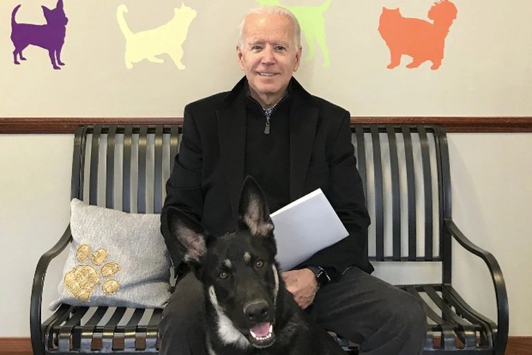 Joe Biden junto a su perro Major.