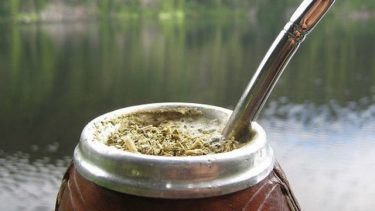 El Gobierno reguló la presencia de palo y polvo en la yerba mate. 