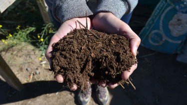 El compost, un elemento fundamental para la huerta. Foto: Matías Subat