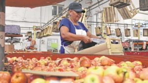 Acuerdo salarial entre CAFI y el Sindicato de la Fruta