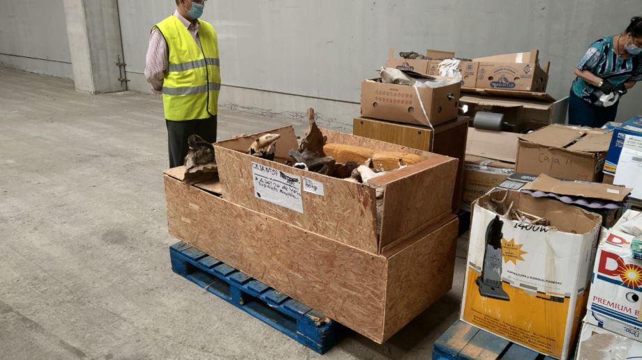 El contenedor con las piezas fósiles se detecto en un puerto de España. Foto: archivo