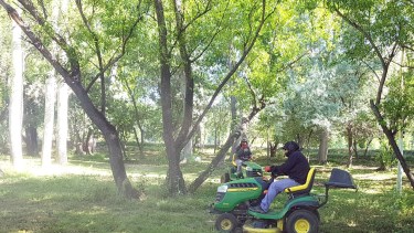 Se desarrollan obras en diferentes sectores de Chichinales, entre ellos el balneario municipal. (Foto Néstor Salas)