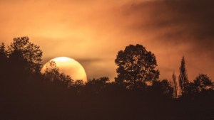 Todo lo que tenes que saber para ver el eclipse solar en Neuquén