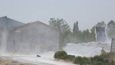 La semana pasada las ráfagas llegaron a los 80 kilómetros por hora y la planta siguió funcionando. (foto: Juan Thomes)