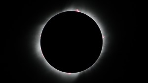 Días que nadie olvidará: documental del eclipse de Sol en un campo de la Línea Sur