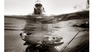 Épica foto de una trucha de 7,3 kilos y un pescador en el río Limay Superior