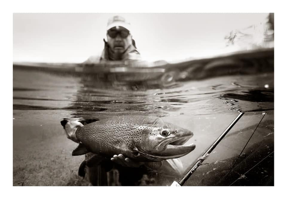 El momento en el que Manuel Linares devuelve al río esa gran trucha marrón en el Limay Superior. Foto: Mauro Ochoa