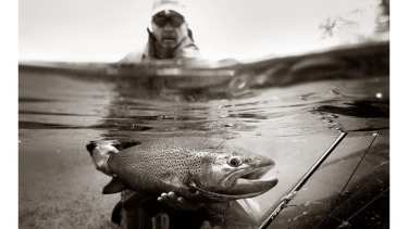 El momento en el que Manuel Linares devuelve al río esa gran trucha marrón en el Limay Superior. Foto: Mauro Ochoa