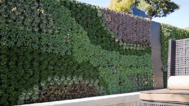 Jardín vertical: lo que hay que saber antes de hacer una pared verde