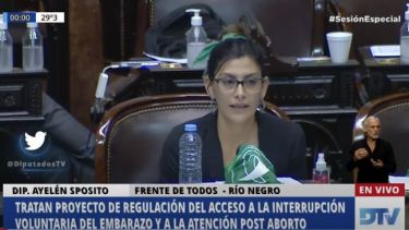 Sposito, Di Giacomo y Matzen fueron los tres diputados de Río Negro que intervinieron en el debate.
