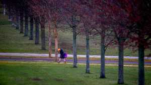 Por récord de contagios, Alemania se cierra y pide evitar compras navideñas