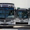 Imagen de El municipio de Bariloche compensará a Mi Bus la diferencia para llegar a la “tarifa técnica”