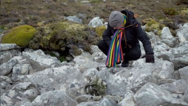 Javier Bustos cerró un círculo doloroso en las islas, como lo refleja  “Buenas noches Malvinas”.