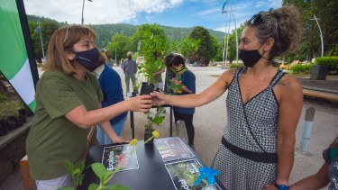 Los vecinos que llevaban un residuo electrónico recibían a cambio un plantín de especies autóctonas del Parque Lanín (Prensa Cotesma)