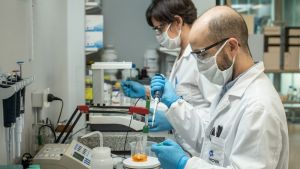 Anmat autorizó el suero equino para el tratamiento de coronavirus