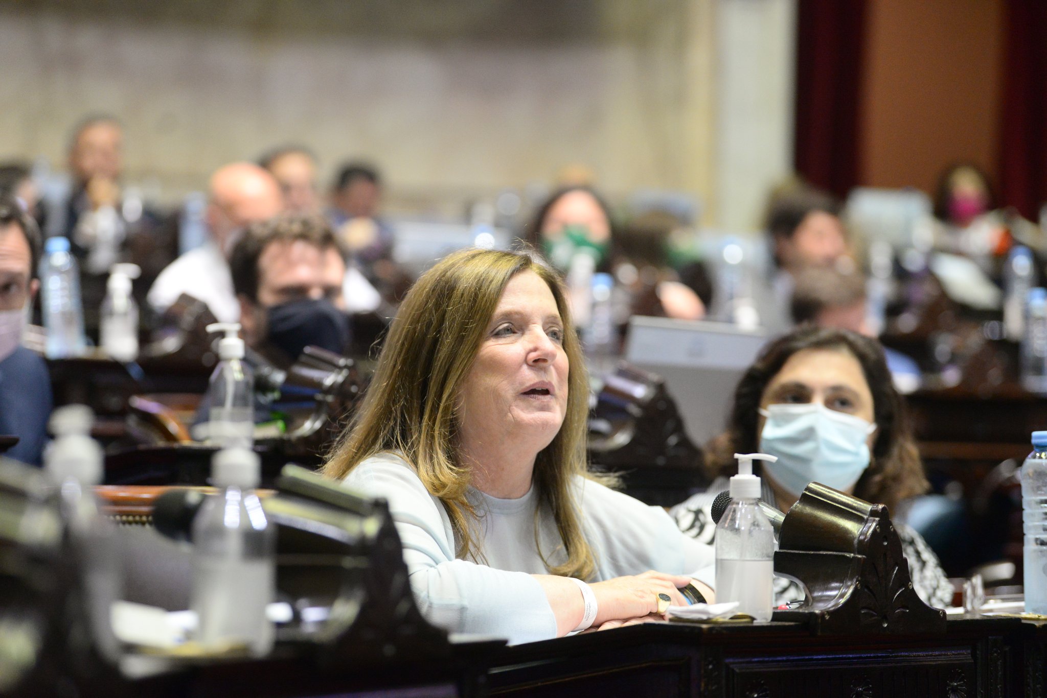 Carmen Polledo: el aborto legal 'no es un reclamo de nuestras mujeres'