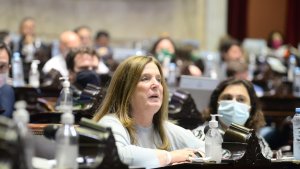 Carmen Polledo: el aborto legal «no es un reclamo de nuestras mujeres»