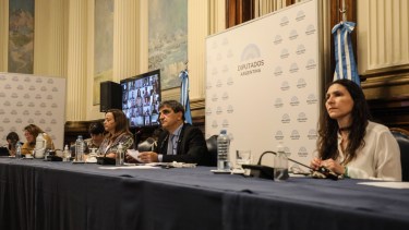 En un plenario de comisiones, especialistas expusieron a favor y en contra del proyecto enviado por el Poder Ejecutivo sobre la Interrupción Voluntaria del Embarazo. (Gentileza).-