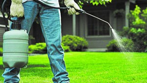 Invasiones no deseadas: cómo sacarnos de encima cucarachas, mosquitos y bichos molestos