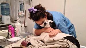 Advierten sobre estafas a través de veterinarias en Bariloche