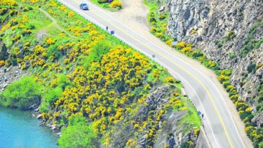  La falta de precipitaciones modifica el paisaje invernal en la zona cordillerana. Foto: Patricio Rodríguez.-