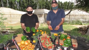Usan material volcánico de Neuquén en cultivos de frutas y verduras