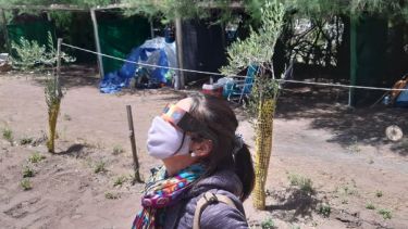 Lentes adecuados para disfrutar del eclipse.   Foto: José Mellado.