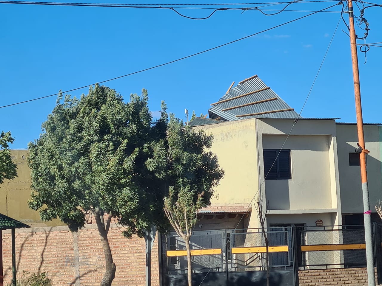 El viento tiró árboles, levantó techos y provocó cortes de luz en la ...