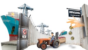 ¿Por qué los buenos precios de las frutas no llegan a los productores?