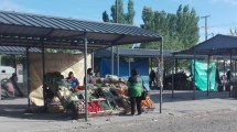 Imagen de Balance positivo por la reapertura de la Feria Municipal de Viedma