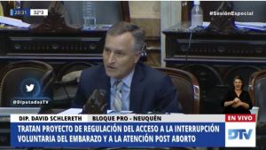 Aborto legal: Sánchez y Schlereth justificaron su voto negativo