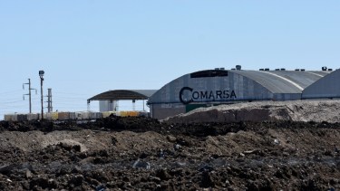 Las plantas están al máximo de capacidad. Foto: Florencia Salto. 