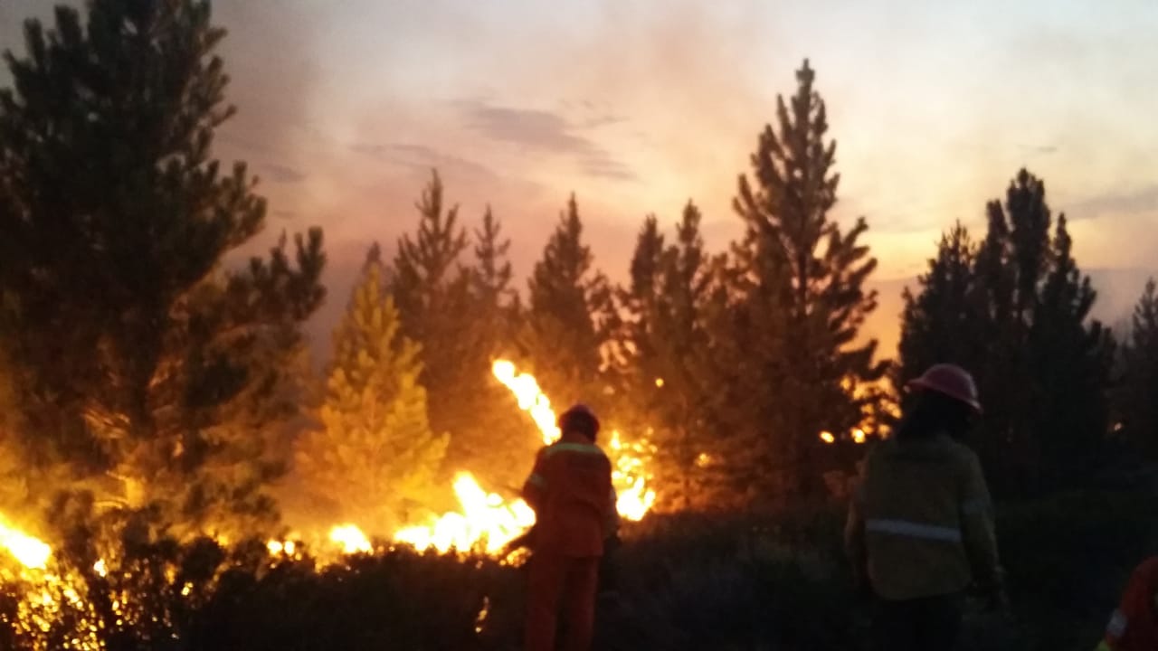 EL fuego en Loncopué se originó por la caída de rayos. Foto: Gentileza