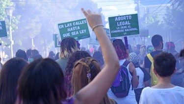 La legalización del aborto se debatirá esta semana en Diputados. Foto archivo Florencia Salto.