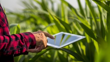 La UNRN presenta las carreras de Agroecología, Viveros y Producción Vegetal Orgánica