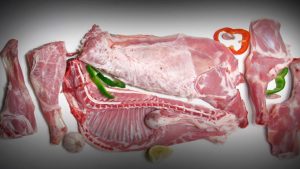 Ya comenzó la preventa de corderos de la Línea Sur en la feria de Fernández Oro