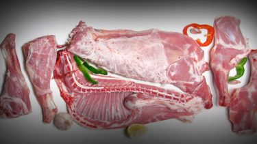 Ya comenzó la preventa de corderos de la Línea Sur en la feria de Fernández Oro