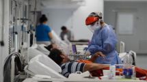 Imagen de Argentina sumó 8.141 nuevos contagios de coronavirus y 257 muertes