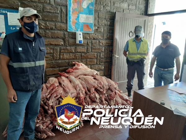 Un hombre de Mendoza intentó ingresar a Neuquén con 90 piezas de chivo, sin las medidas de seguridad correspondientes. (Foto: Gentileza).