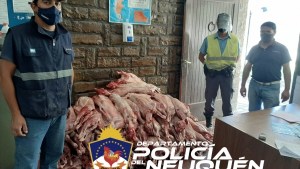 Decomisaron 90 chivos faenados que pretendían ingresar de Mendoza a Neuquén