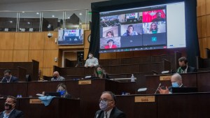 Qué dijeron los diputados provinciales de Neuquén sobre el aborto