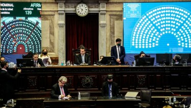El ministro de Trabajo, Claudio Moroni; y la directora ejecutiva de ANSES, María Fernanda Raverta, expondrán a través de videoconferencia.