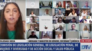 Vivo: siguen las exposiciones sobre aborto en Diputados