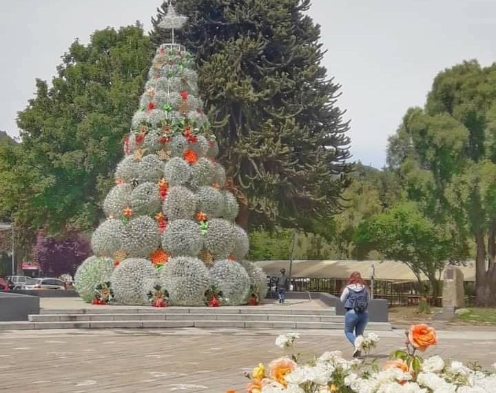 La navidad cordillerana se realizará en forma virtual con el encendido del arbolito en la plaza de San Martín de los Andes. (FM Del Lago)