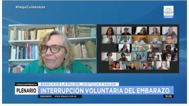 Luchetti fue parte hoy del debate en comisiones, en favor de la ley. Foto: Campaña por el Aborto Legal.-