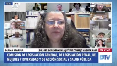Aborto legal | Diana Maffía fue una de las primeras cuatro exposiciones que se escucharon en el plenario de comisiones. 